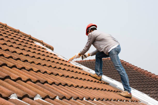 Best Gutter Installation and Repair  in Lula, GA