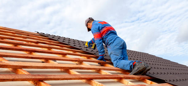 Best Skylights  in Lula, GA